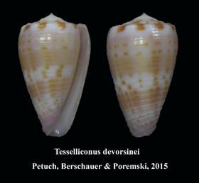 santaluziensis_holotype_2015.jpg